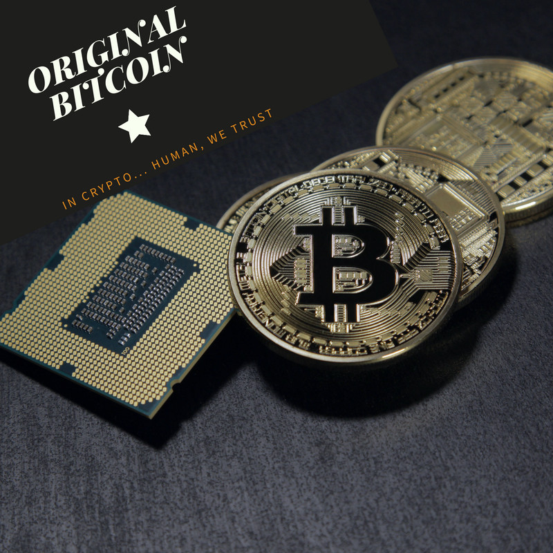 Bitcoin social et RSE : le pari gagnant des entreprises de demain !